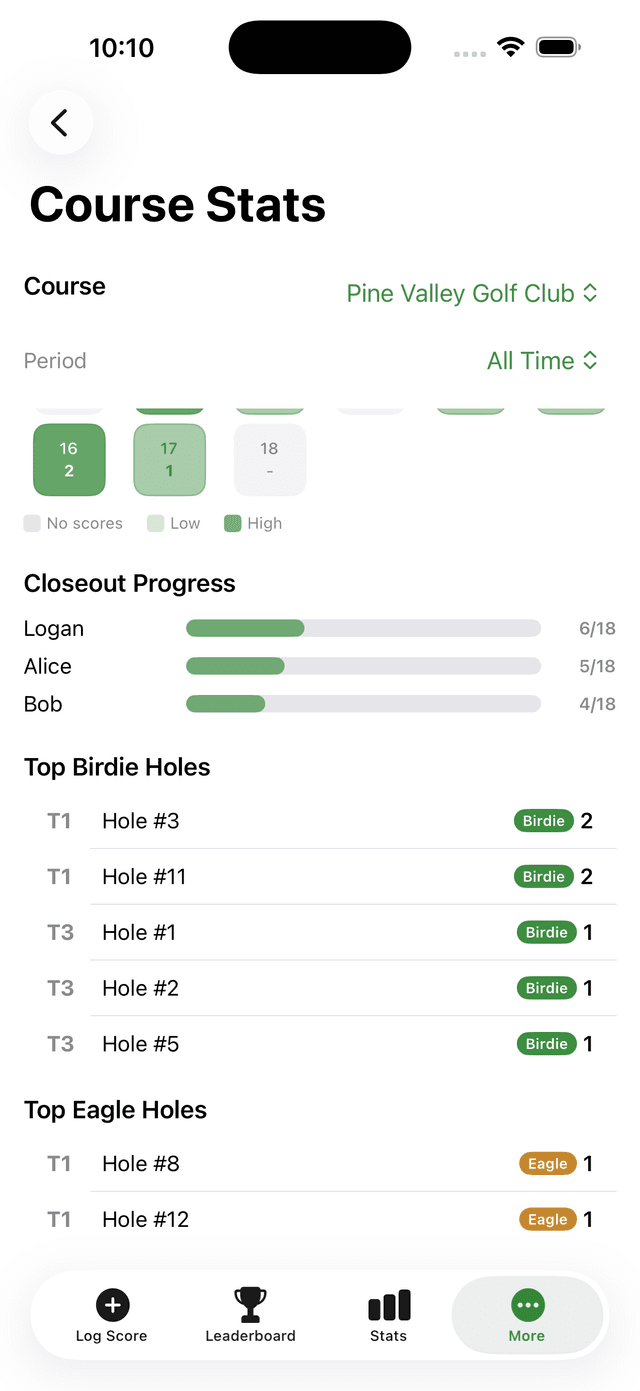 Top birdie and eagle holes leaderboard